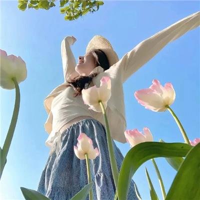 出水芙蓉国语
